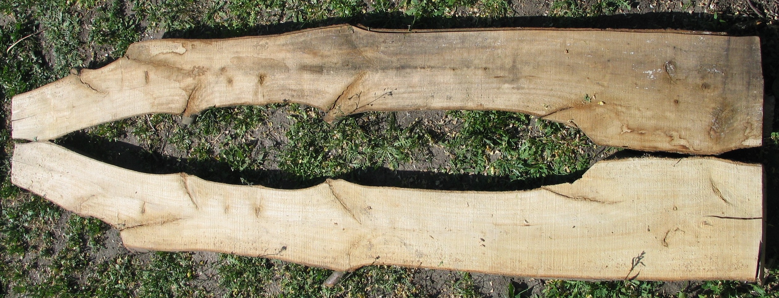 l1